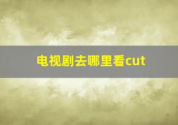 电视剧去哪里看cut