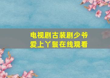 电视剧古装剧少爷爱上丫鬟在线观看