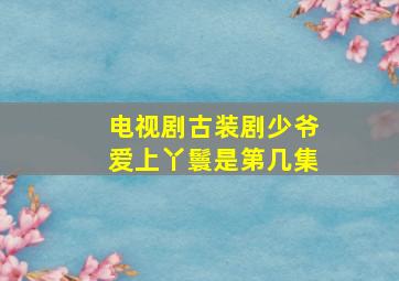 电视剧古装剧少爷爱上丫鬟是第几集