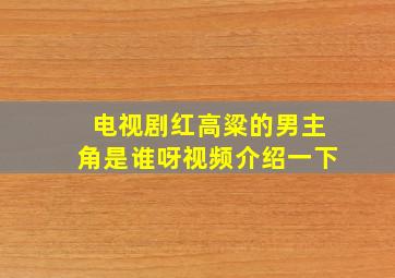 电视剧红高粱的男主角是谁呀视频介绍一下