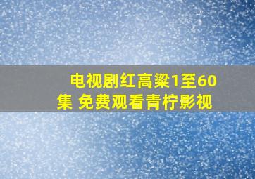 电视剧红高粱1至60集 免费观看青柠影视