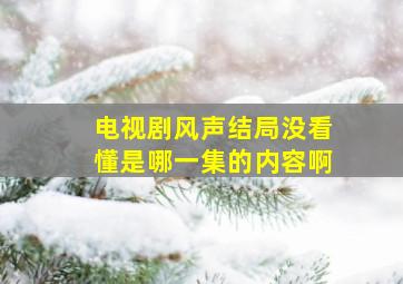 电视剧风声结局没看懂是哪一集的内容啊