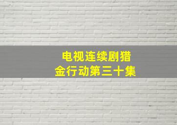 电视连续剧猎金行动第三十集