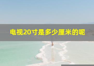 电视20寸是多少厘米的呢