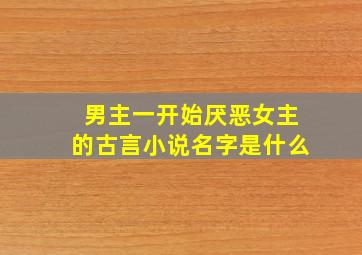 男主一开始厌恶女主的古言小说名字是什么