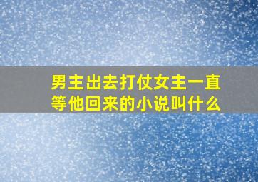 男主出去打仗女主一直等他回来的小说叫什么