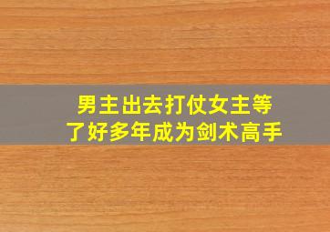 男主出去打仗女主等了好多年成为剑术高手