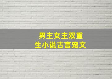 男主女主双重生小说古言宠文