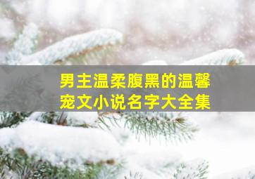 男主温柔腹黑的温馨宠文小说名字大全集