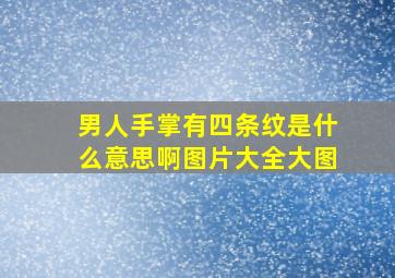 男人手掌有四条纹是什么意思啊图片大全大图