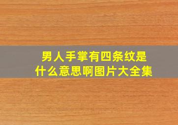 男人手掌有四条纹是什么意思啊图片大全集