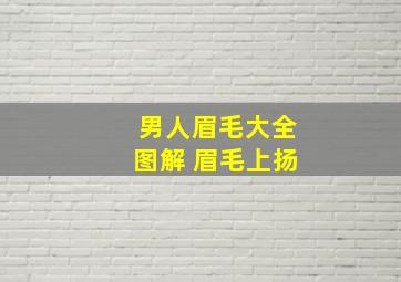 男人眉毛大全图解 眉毛上扬