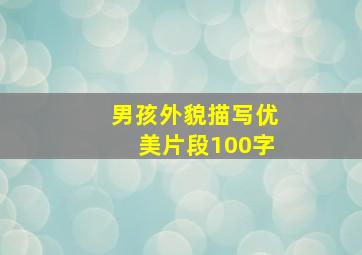 男孩外貌描写优美片段100字