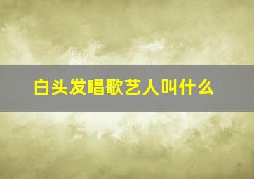 白头发唱歌艺人叫什么