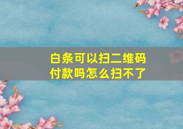 白条可以扫二维码付款吗怎么扫不了