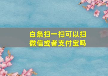 白条扫一扫可以扫微信或者支付宝吗