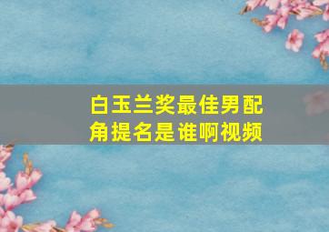 白玉兰奖最佳男配角提名是谁啊视频