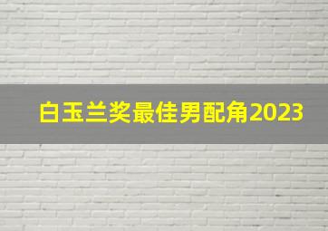 白玉兰奖最佳男配角2023