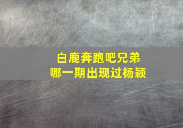 白鹿奔跑吧兄弟哪一期出现过杨颖