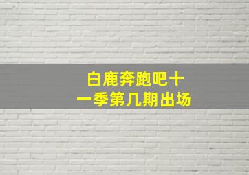 白鹿奔跑吧十一季第几期出场