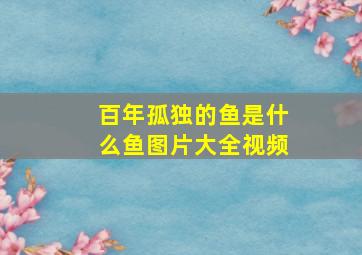 百年孤独的鱼是什么鱼图片大全视频