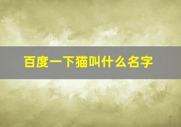 百度一下猫叫什么名字