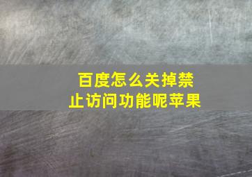 百度怎么关掉禁止访问功能呢苹果