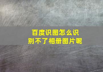 百度识图怎么识别不了相册图片呢