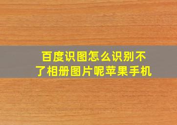 百度识图怎么识别不了相册图片呢苹果手机