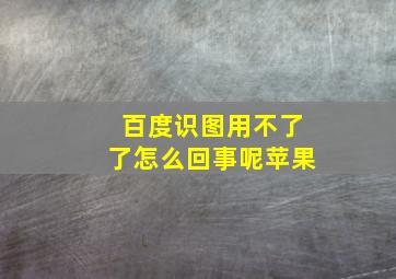 百度识图用不了了怎么回事呢苹果