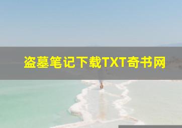 盗墓笔记下载TXT奇书网