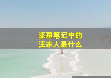 盗墓笔记中的汪家人是什么