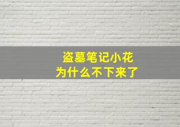 盗墓笔记小花为什么不下来了