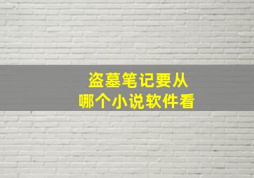 盗墓笔记要从哪个小说软件看