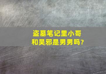 盗墓笔记里小哥和吴邪是男男吗?