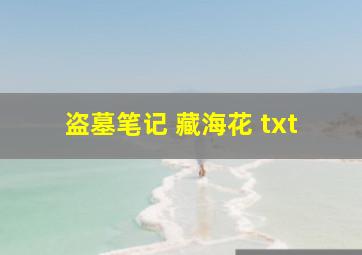 盗墓笔记 藏海花 txt