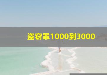 盗窃罪1000到3000