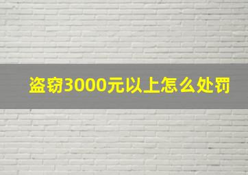 盗窃3000元以上怎么处罚