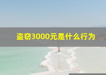 盗窃3000元是什么行为