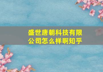 盛世唐朝科技有限公司怎么样啊知乎