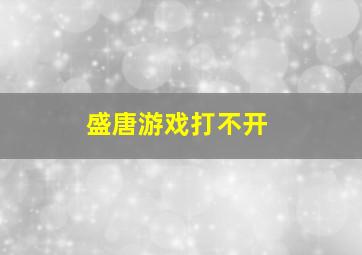 盛唐游戏打不开