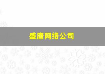 盛唐网络公司