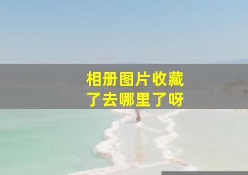 相册图片收藏了去哪里了呀