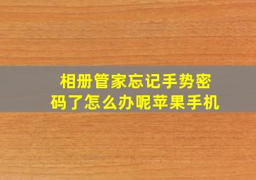 相册管家忘记手势密码了怎么办呢苹果手机