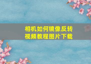 相机如何镜像反转视频教程图片下载