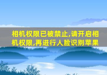 相机权限已被禁止,请开启相机权限,再进行人脸识别苹果