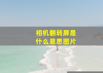 相机翻转屏是什么意思图片