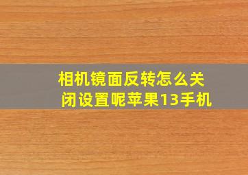 相机镜面反转怎么关闭设置呢苹果13手机