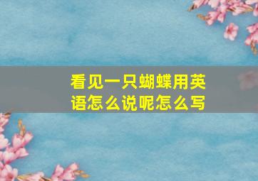 看见一只蝴蝶用英语怎么说呢怎么写