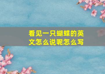 看见一只蝴蝶的英文怎么说呢怎么写